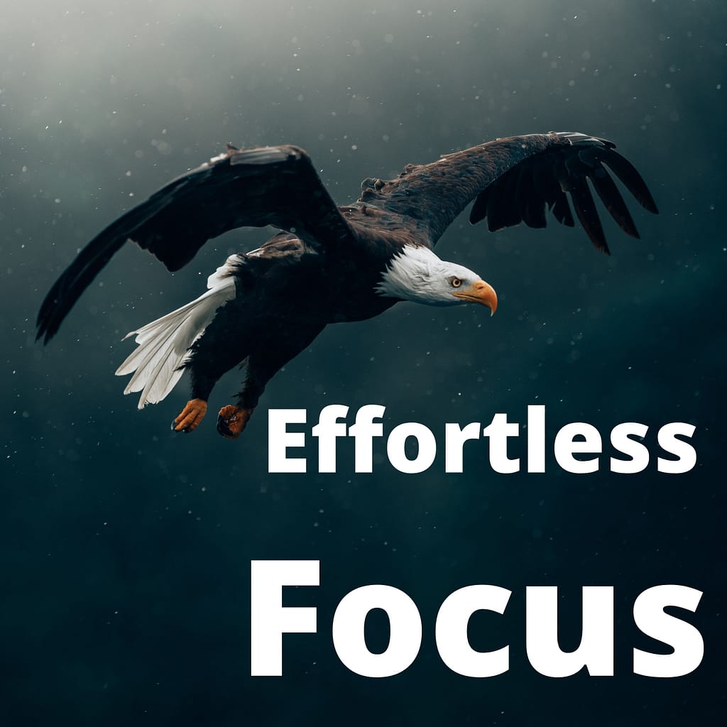 effortless focus, optimal experience and flow